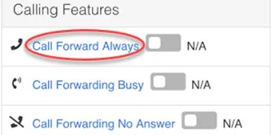 Call Forward